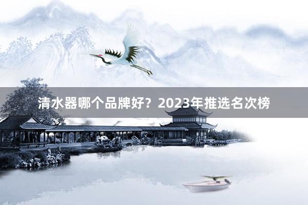 清水器哪个品牌好？2023年推选名次榜