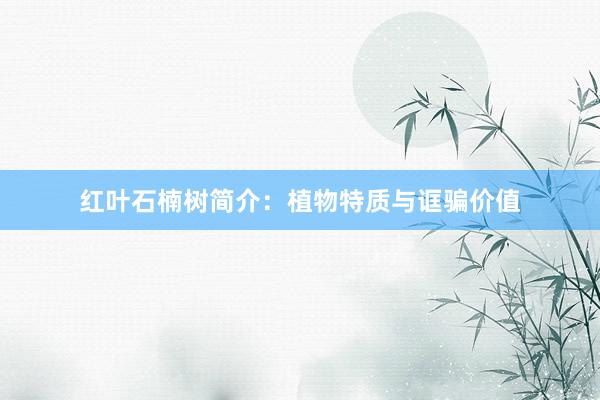 红叶石楠树简介：植物特质与诓骗价值